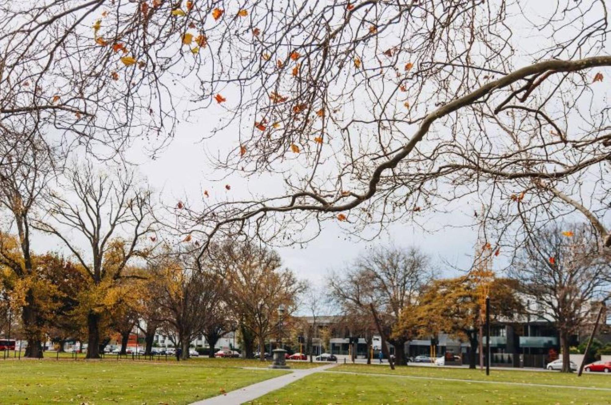 Inner City Delight Walk To Cathedral Square Christchurch Bagian luar foto